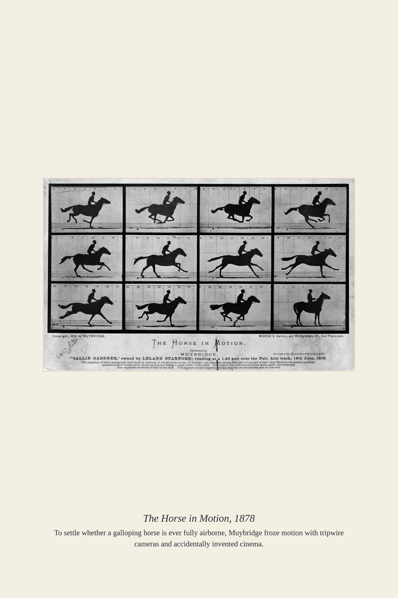 The Horse in Motion, 1878 — antique art print