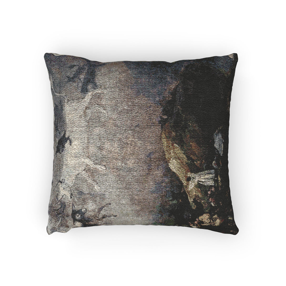 Caprice — Goya Pillow