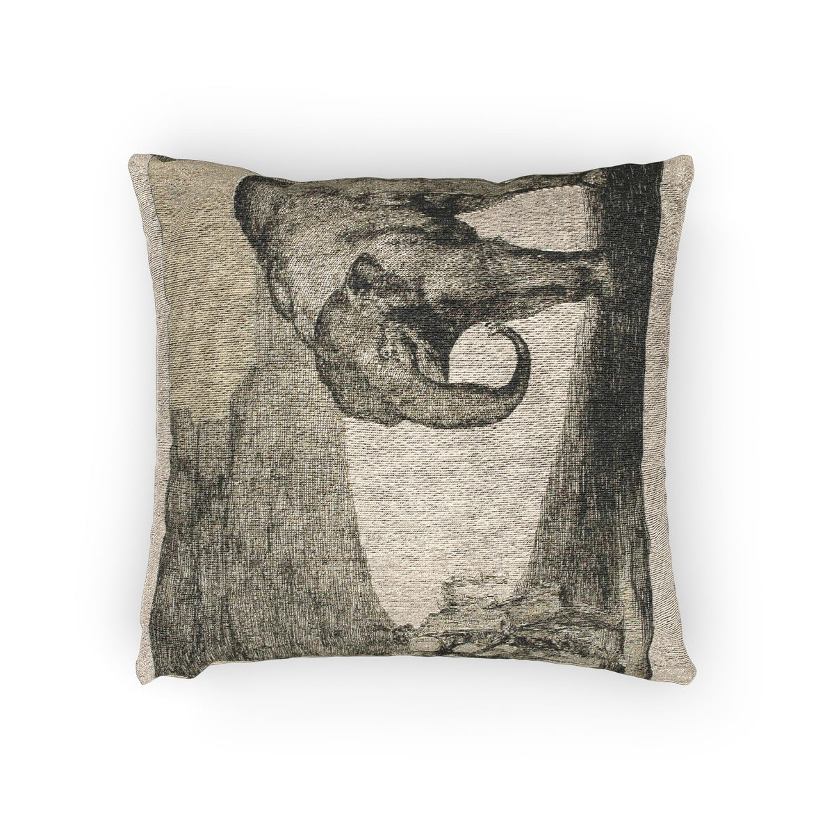 Animal Folly — Goya Pillow