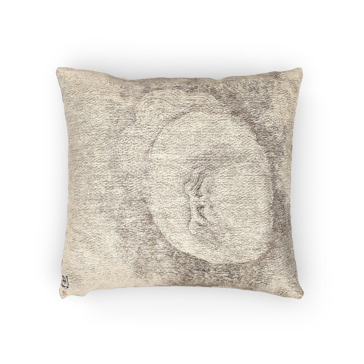 Cat and Butterfly Pillow