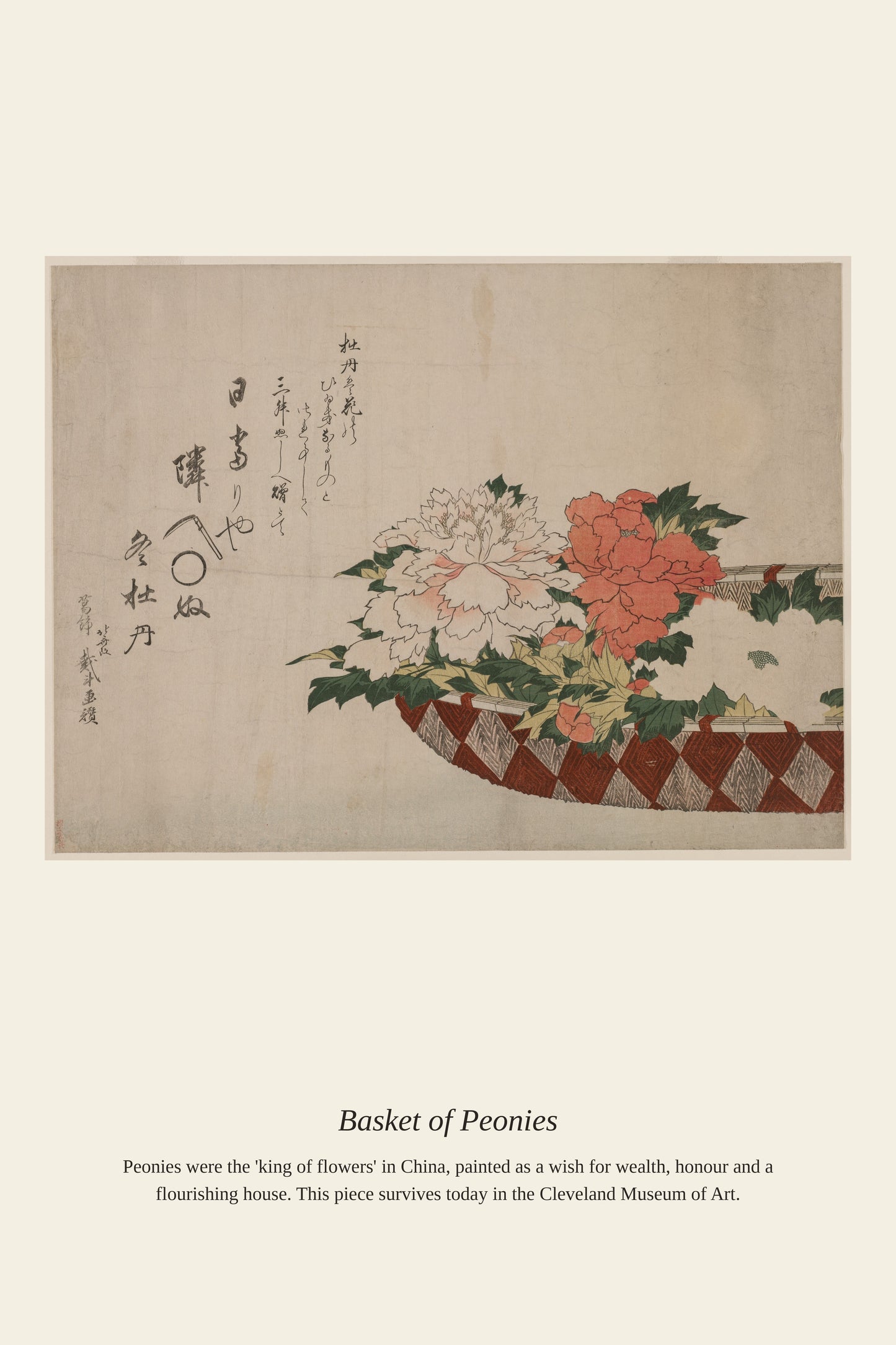 Basket of Peonies - Antique Botanical Print