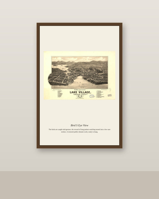 Bird's Eye View (10) antique map print shown framed on a wall in a styled room