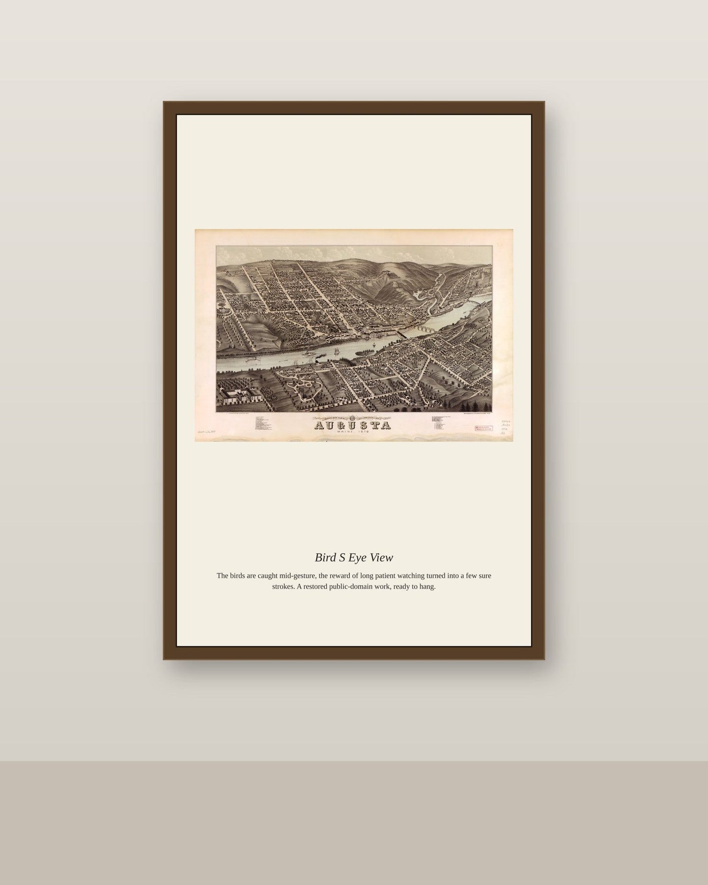 Bird's Eye View (11) antique map print shown framed on a wall in a styled room