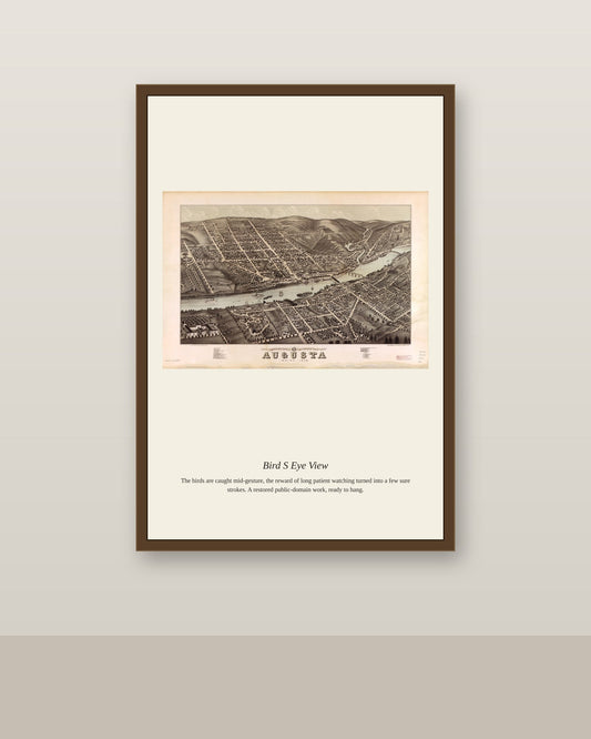 Bird's Eye View (11) antique map print shown framed on a wall in a styled room
