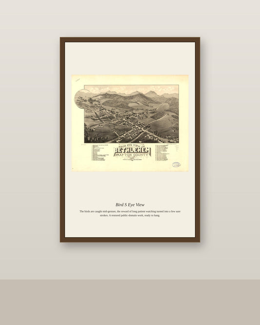 Bird's Eye View (12) antique map print shown framed on a wall in a styled room