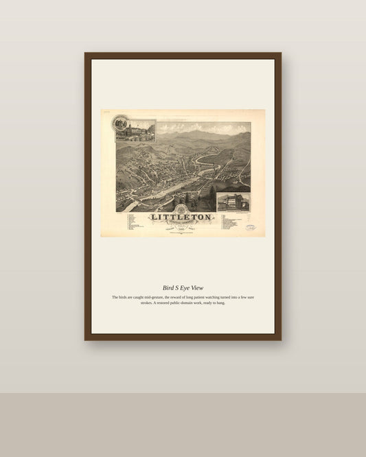 Bird's Eye View (13) antique map print shown framed on a wall in a styled room