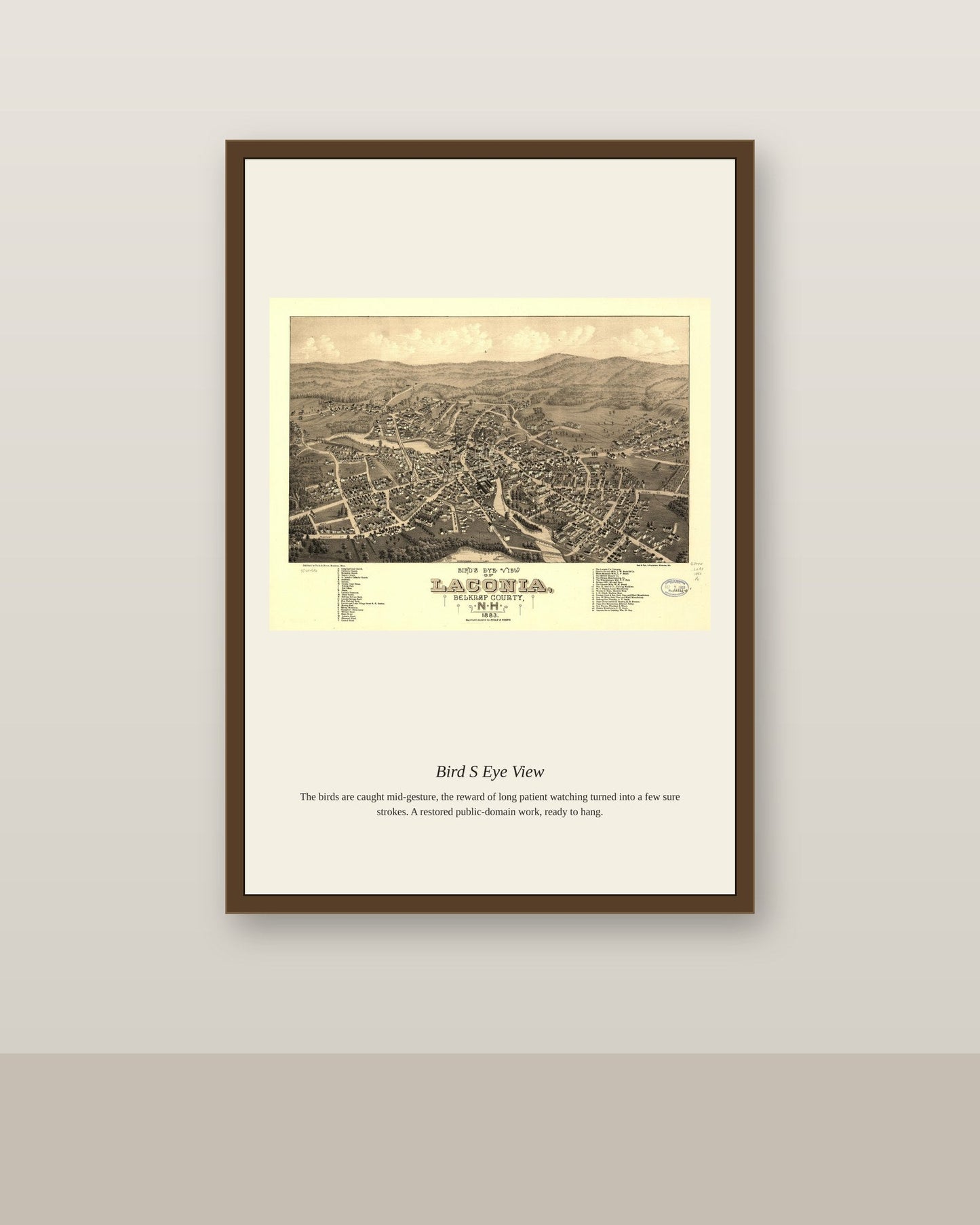 Bird's Eye View (3) antique map print shown framed on a wall in a styled room