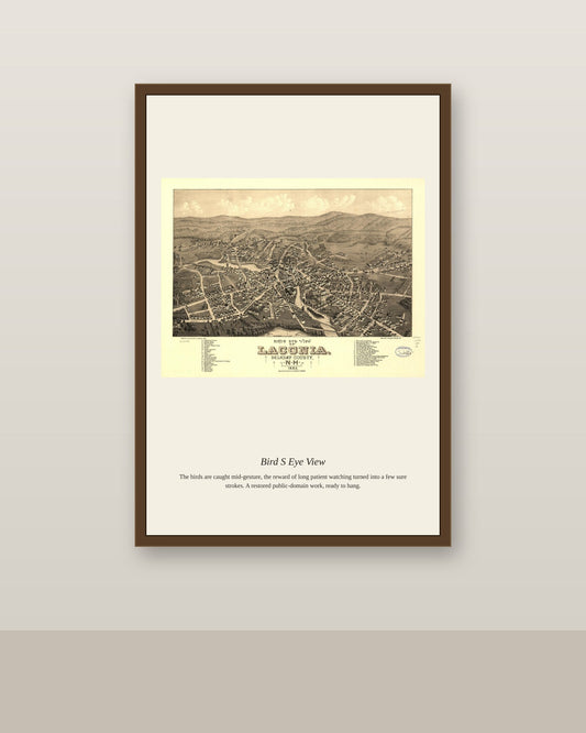 Bird's Eye View (3) antique map print shown framed on a wall in a styled room