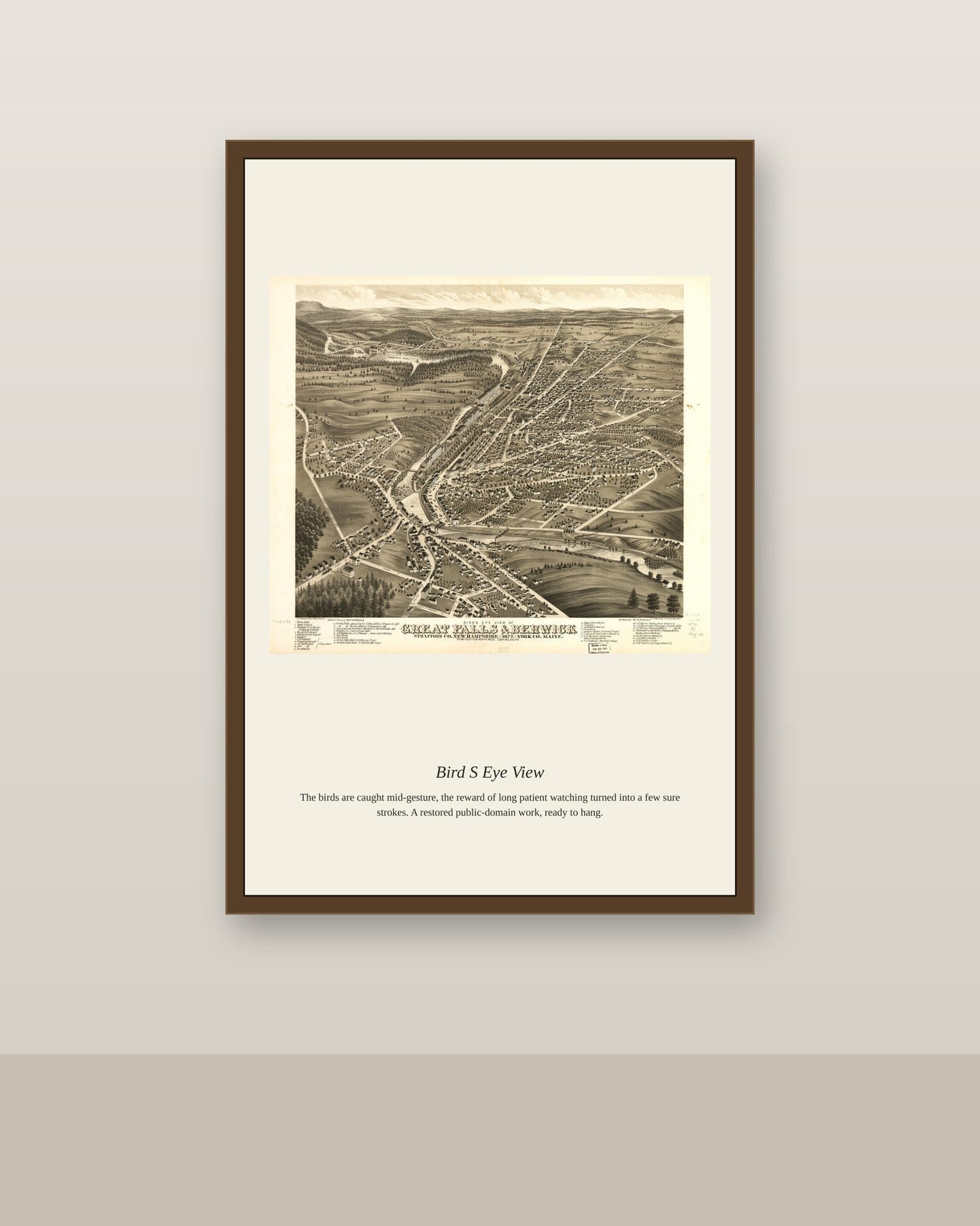 Bird's Eye View (4) antique map print shown framed on a wall in a styled room
