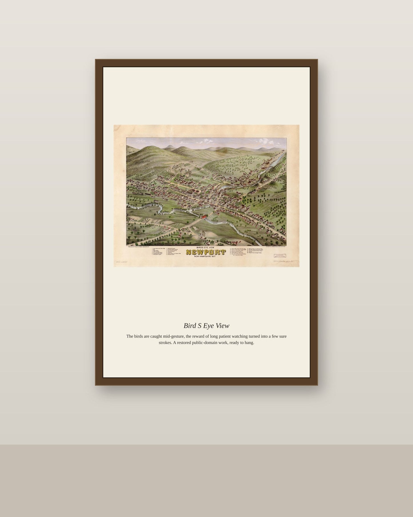Bird's Eye View (6) antique map print shown framed on a wall in a styled room