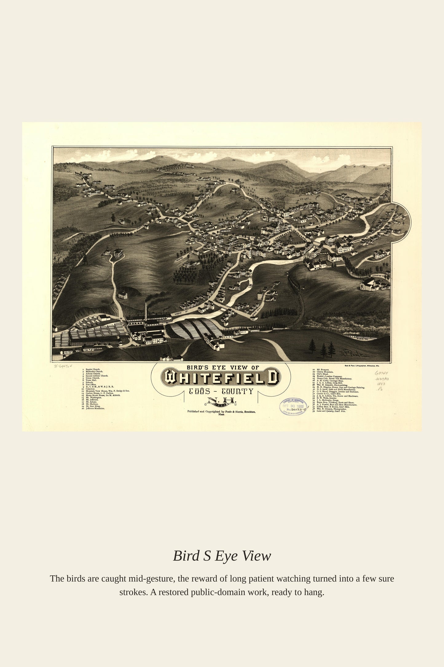 Bird's Eye View (7) - Antique Map Print
