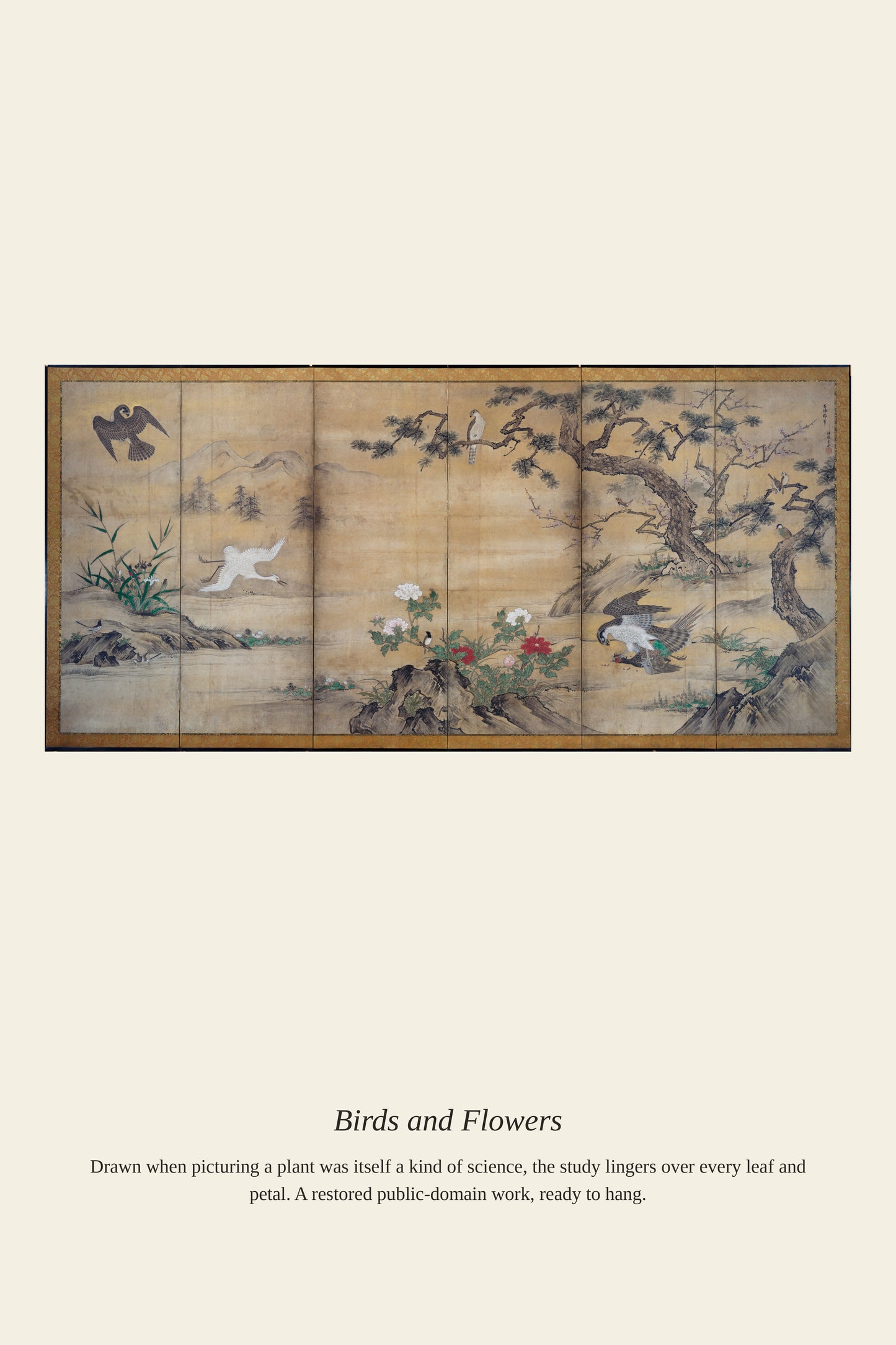 Birds and Flowers - Antique Botanical Print