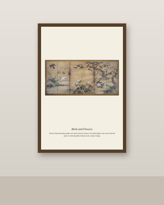Birds and Flowers antique botanical print shown framed on a wall in a styled room