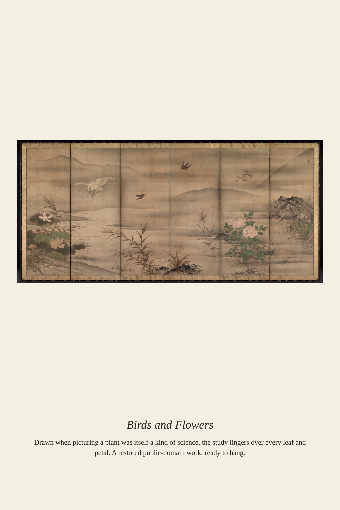 Birds and Flowers (2) - Antique Botanical Print
