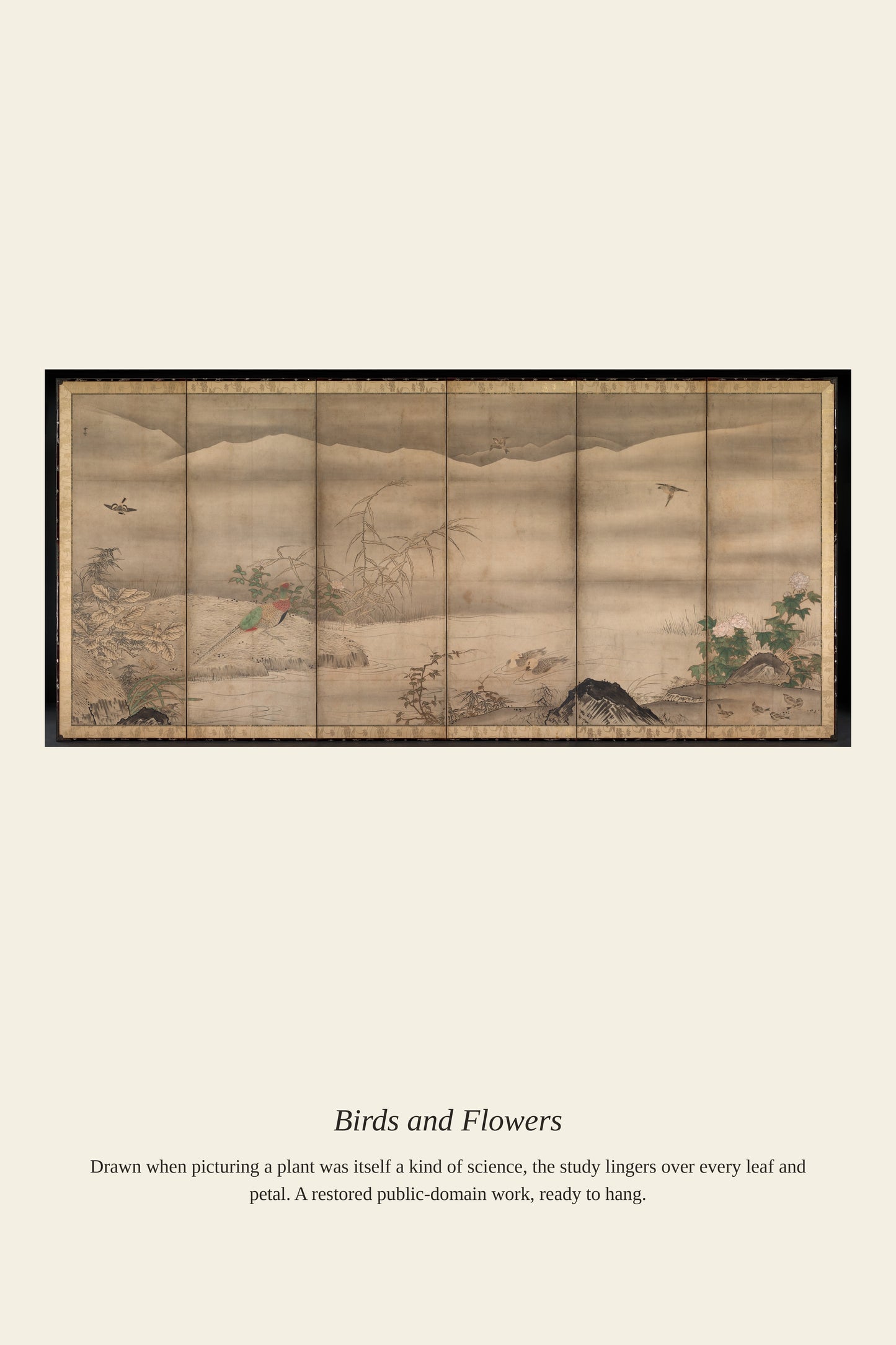Birds and Flowers (3) - Antique Botanical Print
