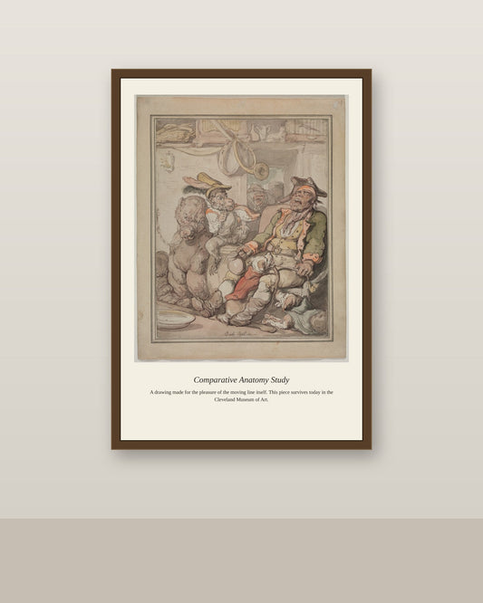 Comparative Anatomy Study antique scientific print shown framed on a wall in a styled room