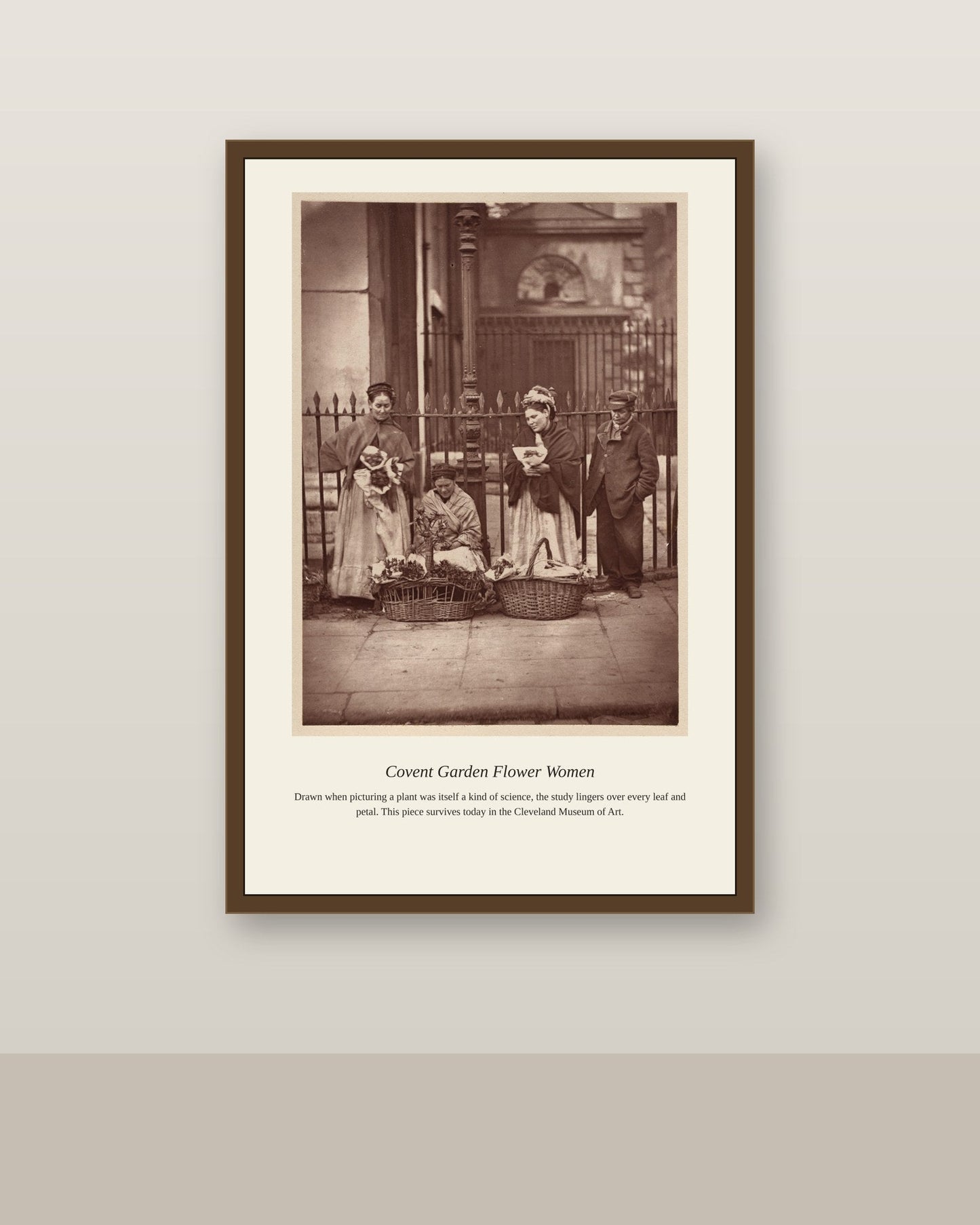 Covent Garden Flower Women antique botanical print shown framed on a wall in a styled room