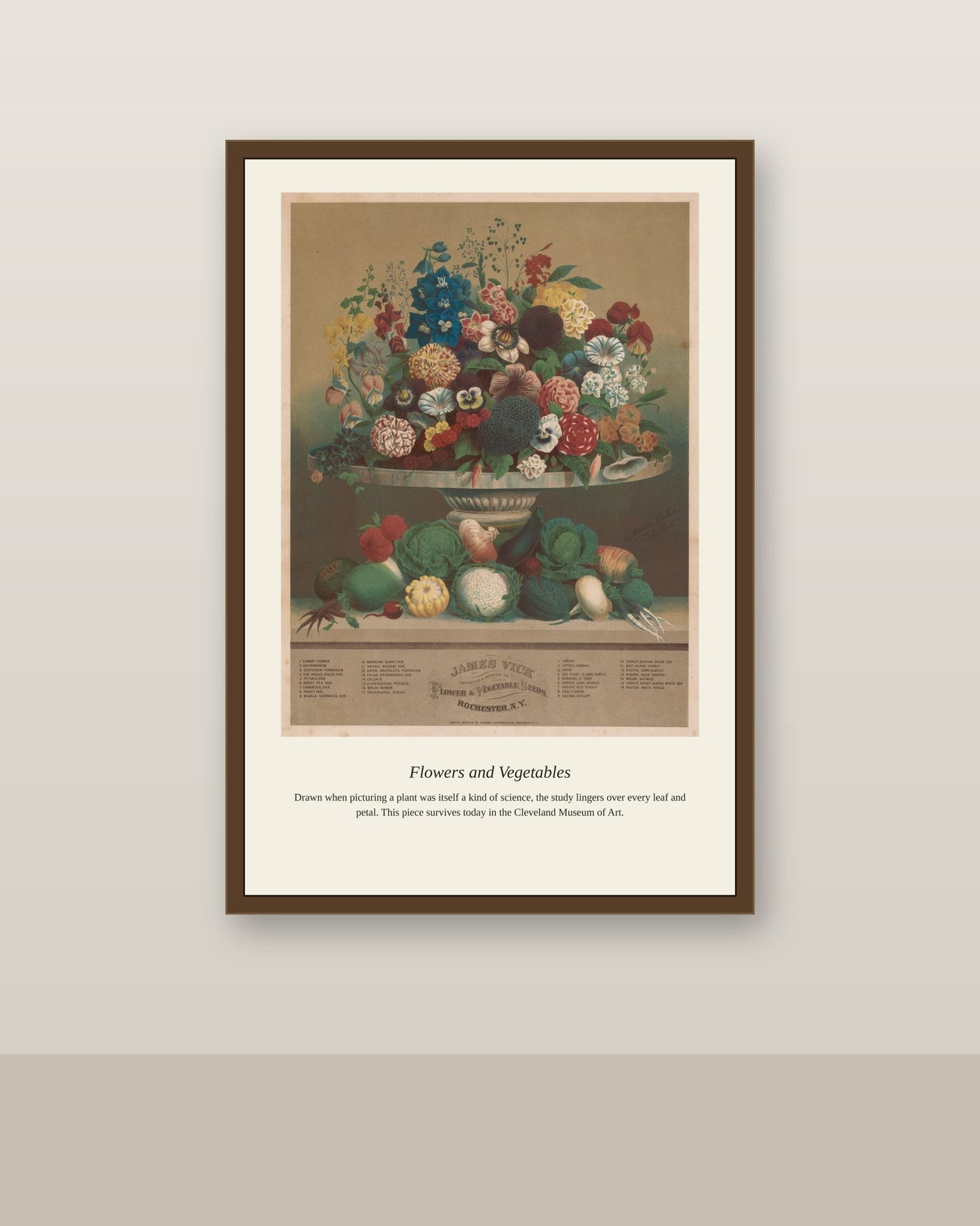 Flowers and Vegetables antique botanical print shown framed on a wall in a styled room