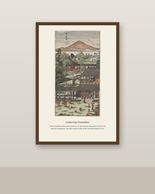 Gathering Osmanthus antique botanical print shown framed on a wall in a styled room