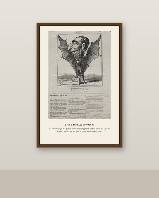 I Am a Bird See My Wings antique natural history print shown framed on a wall in a styled room