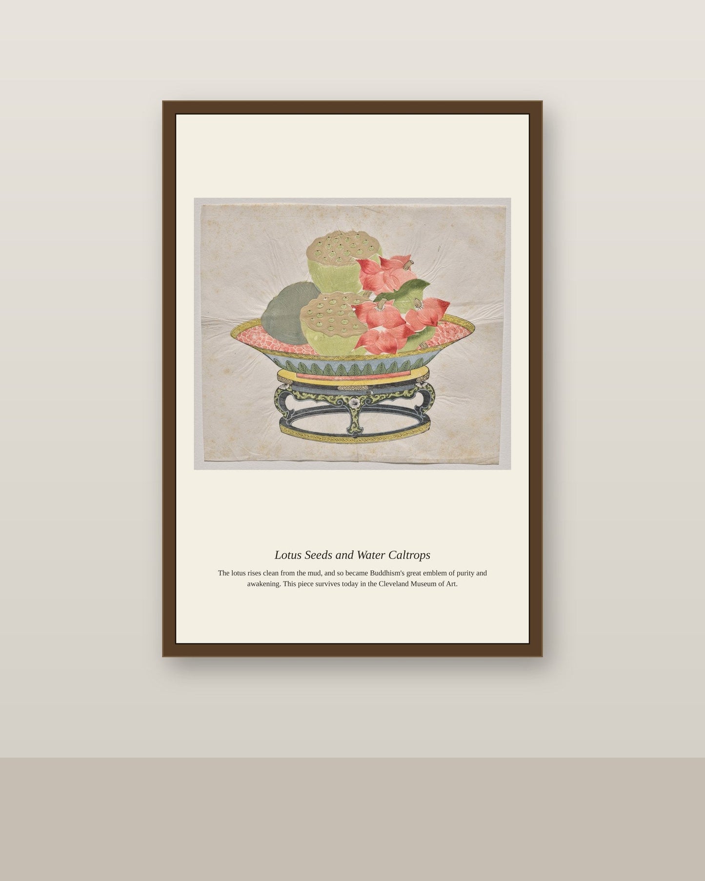 Lotus Seeds and Water Caltrops antique botanical print shown framed on a wall in a styled room