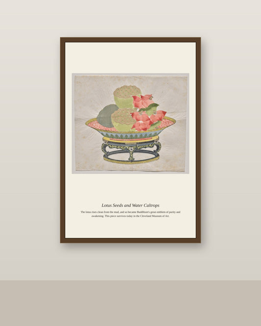 Lotus Seeds and Water Caltrops antique botanical print shown framed on a wall in a styled room
