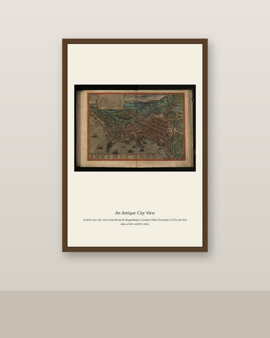 Naples (2) antique city map print shown framed on a wall in a styled room