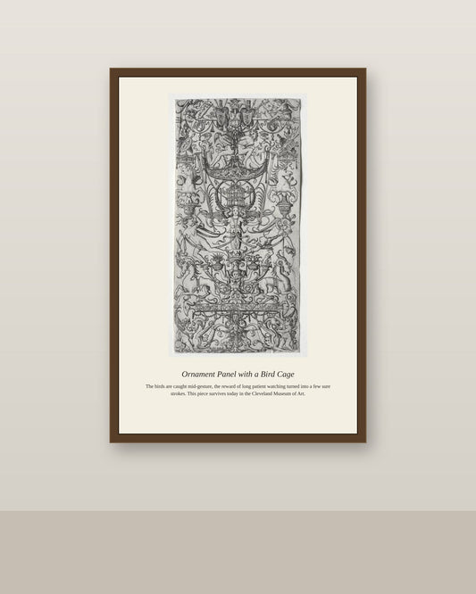 Ornament Panel with a Bird Cage antique natural history print shown framed on a wall in a styled room