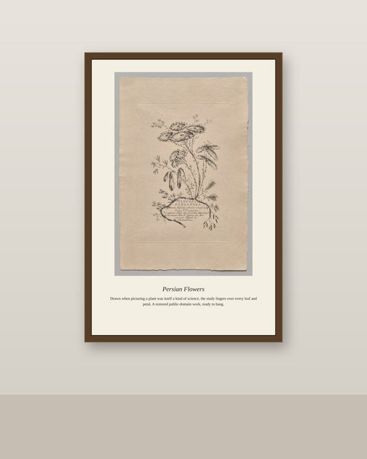 Persian Flowers (3) antique botanical print shown framed on a wall in a styled room
