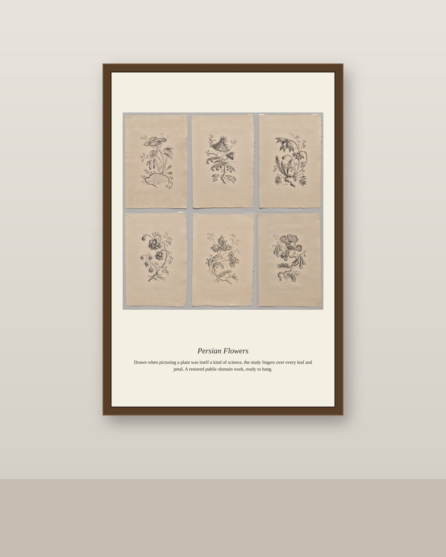 Persian Flowers (5) antique botanical print shown framed on a wall in a styled room