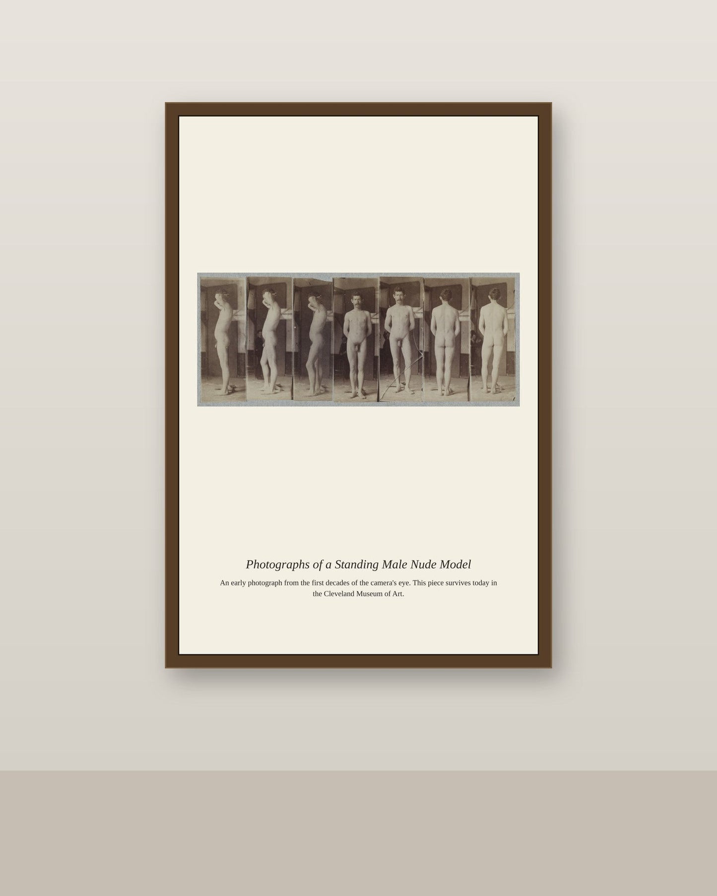 Photographs of a Standing Male Nude Model antique photograph print shown framed on a wall in a styled room