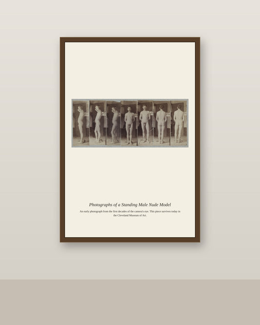 Photographs of a Standing Male Nude Model antique photograph print shown framed on a wall in a styled room