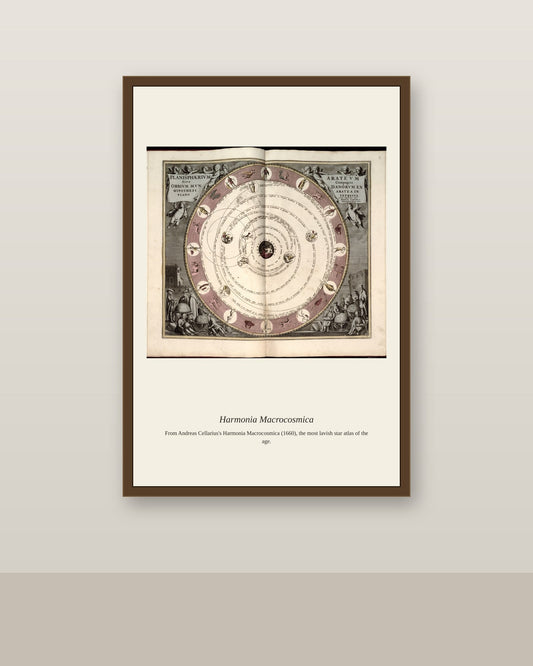 Portolan Chart by Salvatore Oliva antique nautical chart print shown framed on a wall in a styled room