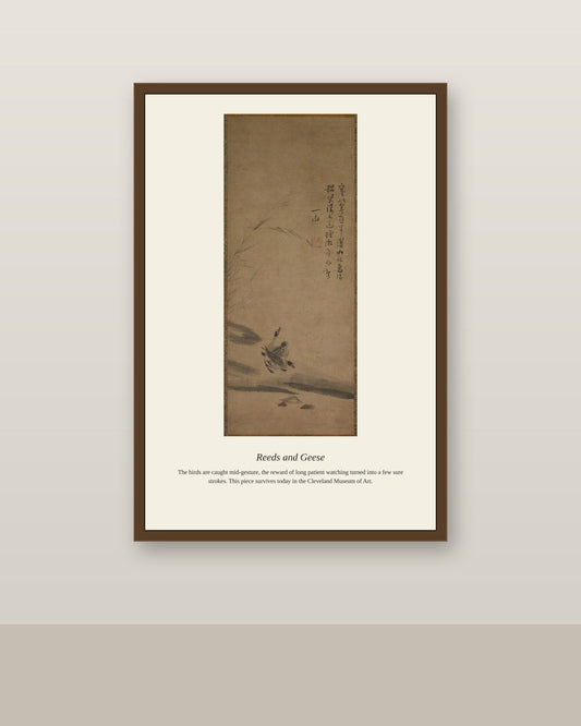 Reeds and Geese antique natural history print shown framed on a wall in a styled room
