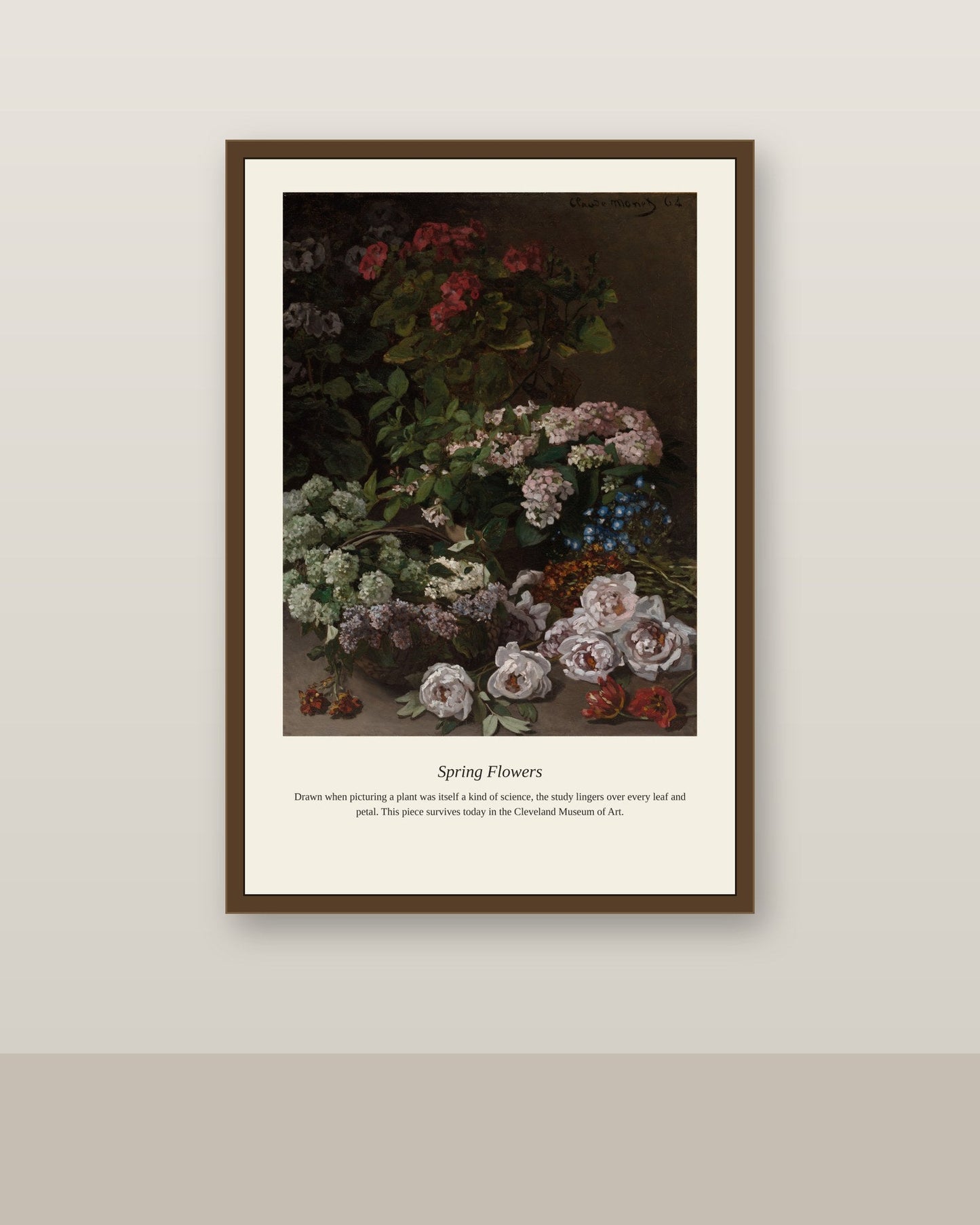 Spring Flowers antique botanical print shown framed on a wall in a styled room