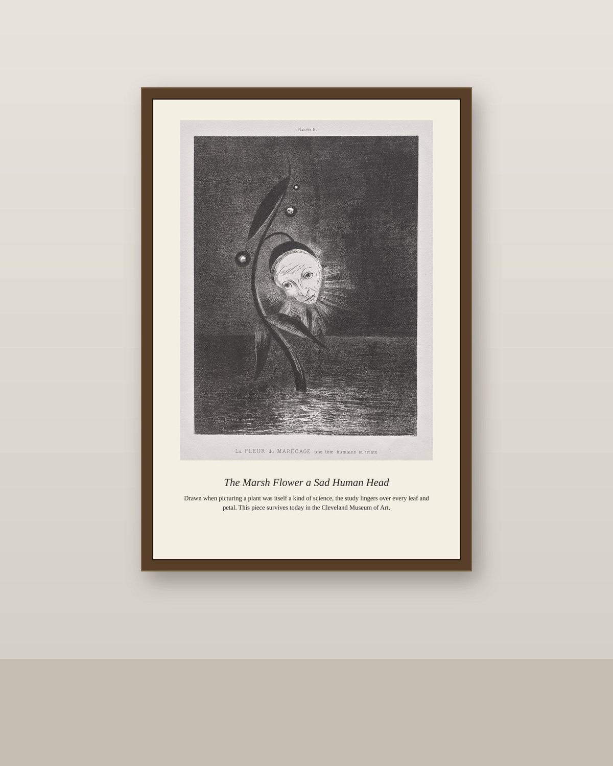 The Marsh Flower a Sad Human Head antique botanical print shown framed on a wall in a styled room