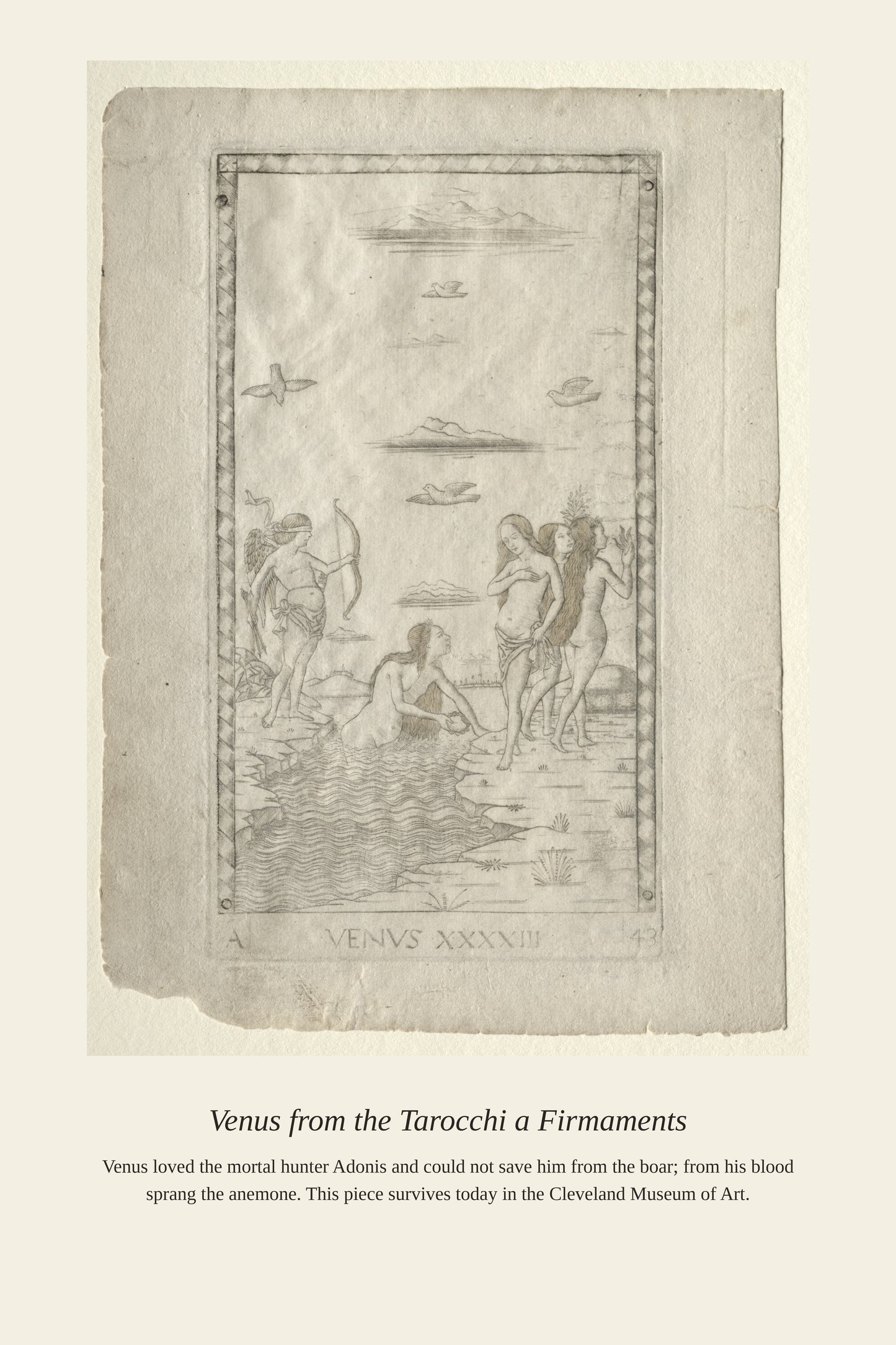 Venus, Mantegna Tarocchi - Antique Celestial Print