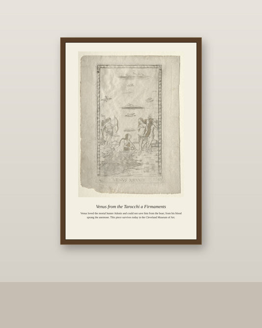 Venus, Mantegna Tarocchi antique celestial print shown framed on a wall in a styled room