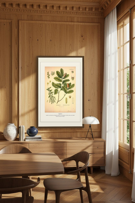Angelica — Antique Botanical Print