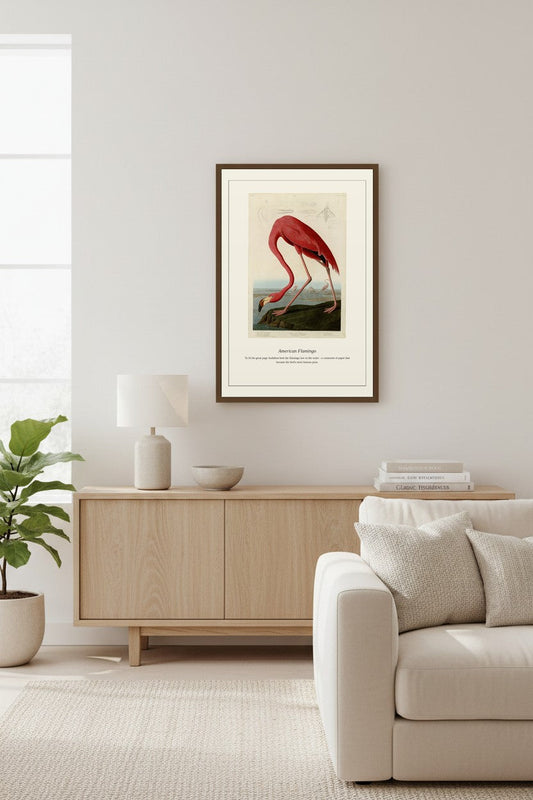 Audubon American Flamingo displayed above a light wood sideboard near a tall curtained window