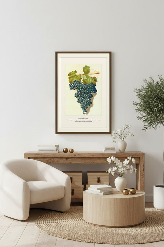 Brookshaw's Grapes — Antique Botanical Print