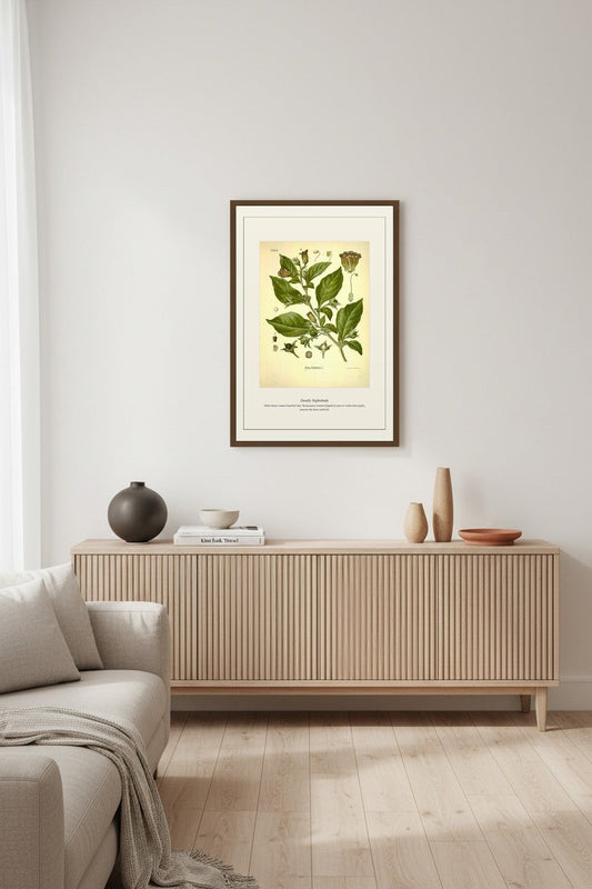 Deadly Nightshade print framed in a neutral living room above a low console