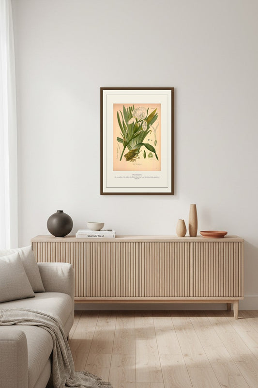 Florentine Iris print framed above a ribbed wood sideboard in a minimalist living room