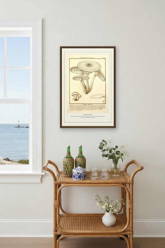 A Mushroom Study — Antique Botanical Print
