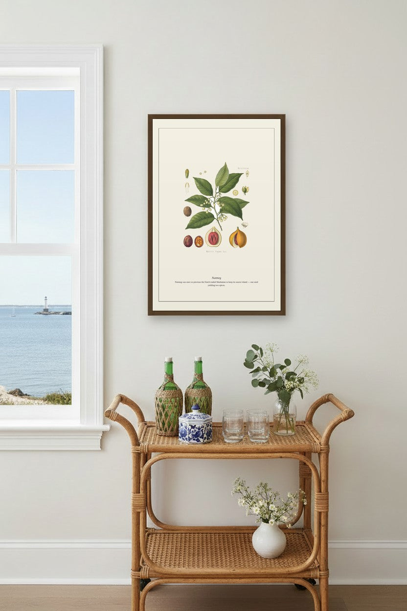 Nutmeg illustration framed in a coastal living room with rattan bar cart