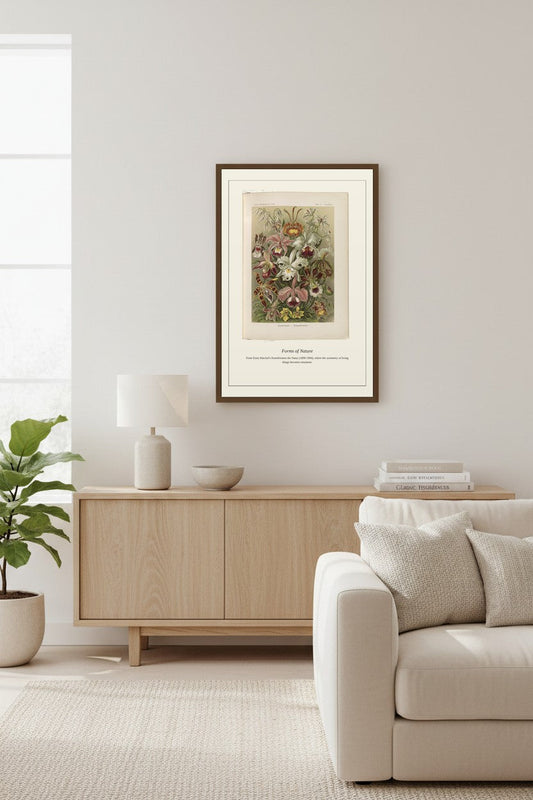 Orchideae — Antique Art Print