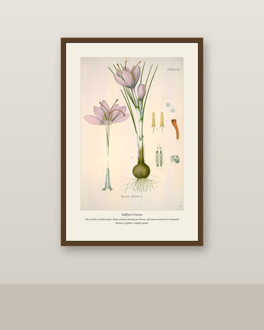 Saffron Crocus print framed in dark wood above a light wood console with an armchair