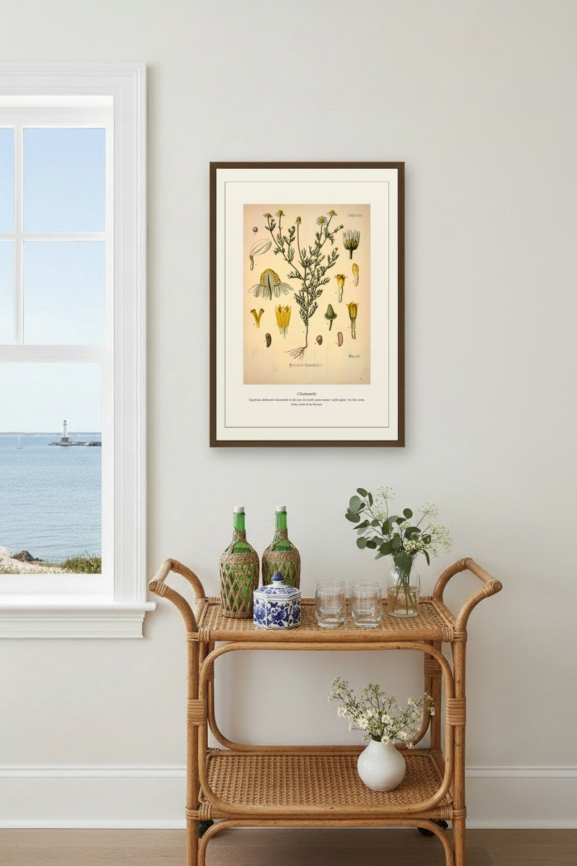 Antique herb print framed in a styled room