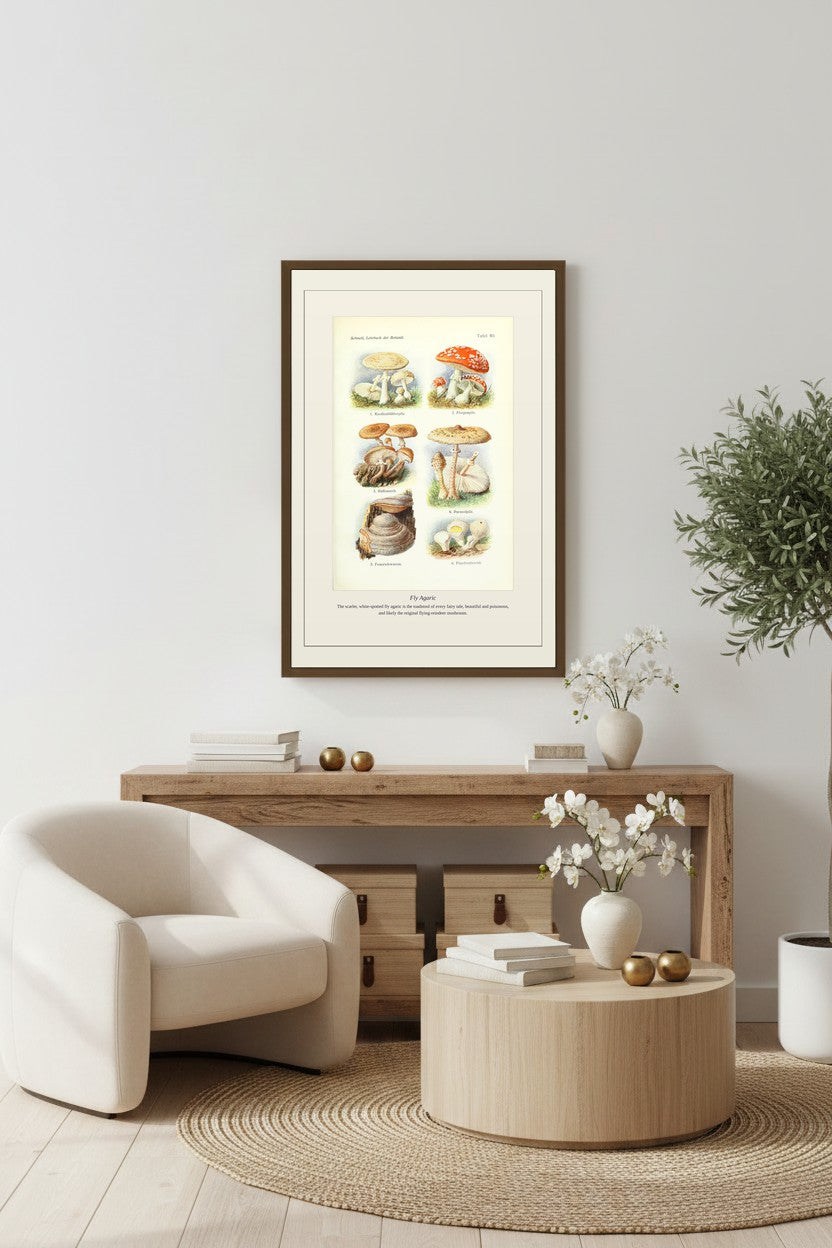 Antique botanical plate framed in a styled room