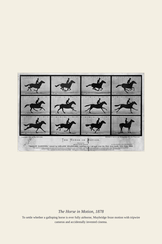 The Horse in Motion, 1878 — antique art print